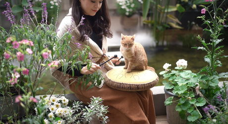 Tongue Drum: The Harmony of Modern Sound and Ancient Spirit